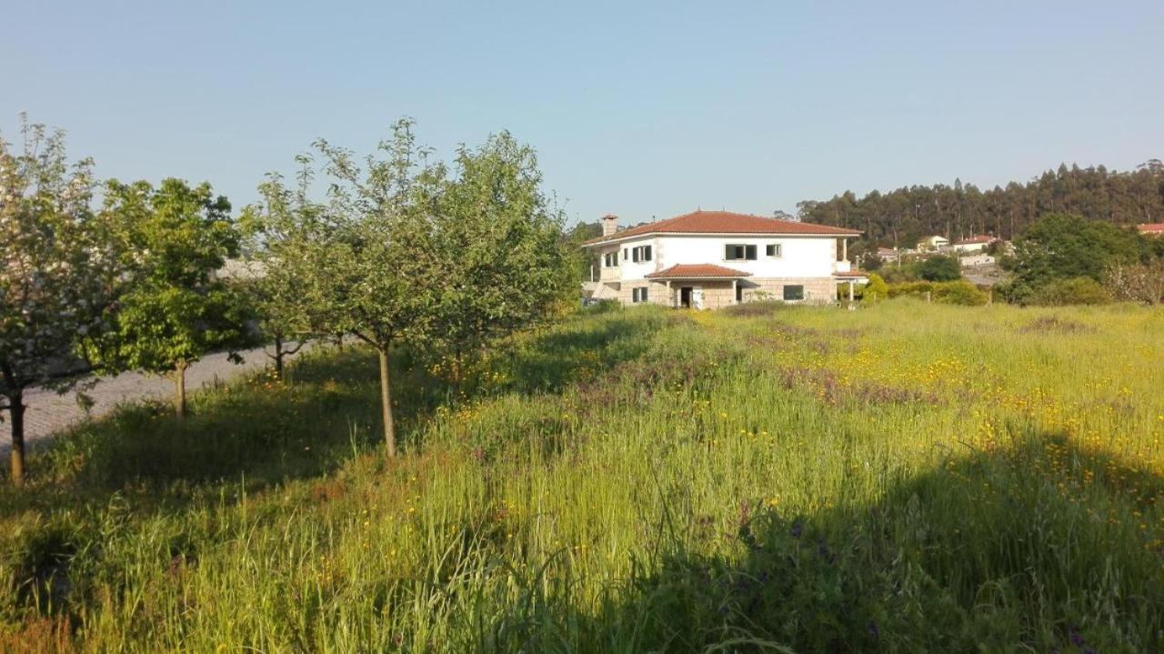 Willa Casa Do Senhor Da Ponte Gondifelos Zewnętrze zdjęcie